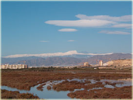 Sierra Nevada vista desde las Salinas (Almerimar)